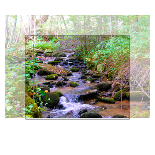 North Carolina Creek Canvas 8x10 - Horizontal