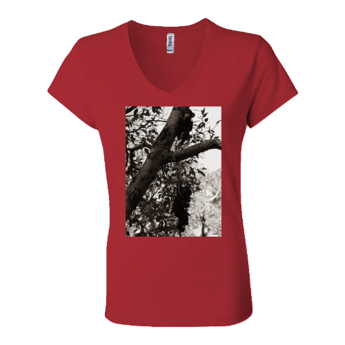 A Dark Aesthetic Women's Jersey Short Sleeve V-Neck Tee - Bella+Canvas