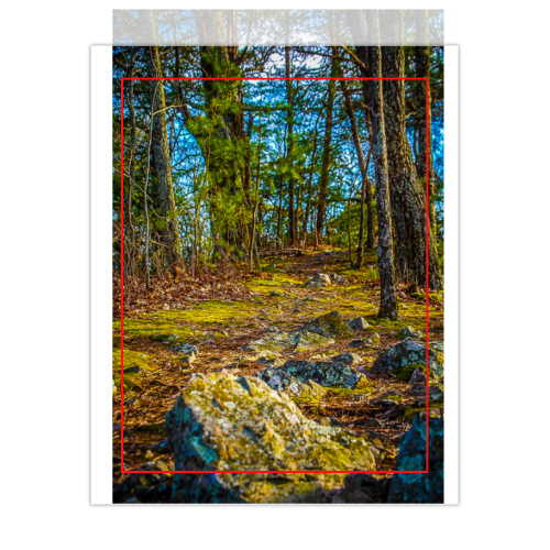 Rocky Footpath Canvas 8x10 - Vertical