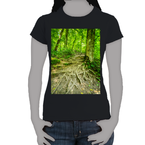 The Well Travelled Path Women's Softstyle Tee - Gildan