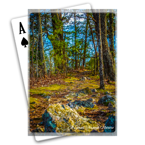 Rocky Footpath Playing Cards