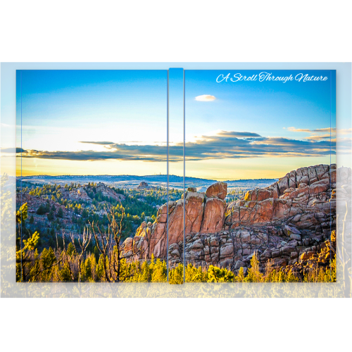 Wyoming Landscape Hardcover Journal Matte (75pg)