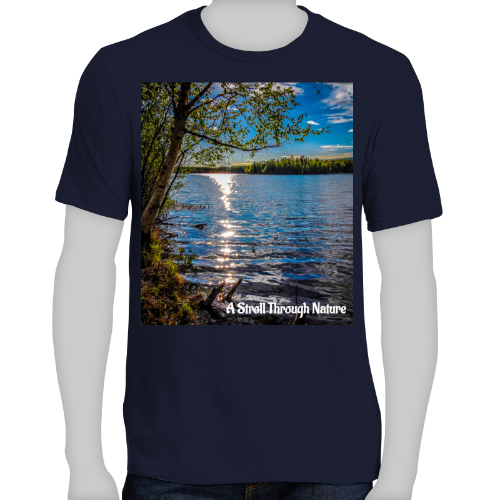 Alaskan Lake View Men's Very Important Tee - District