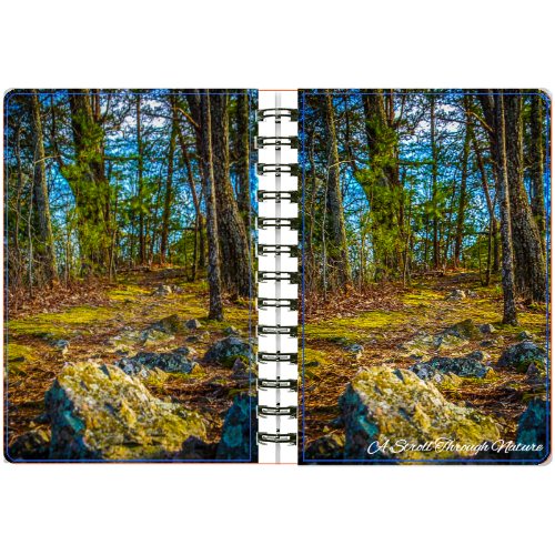 Rocky Footpath 5x7 Spiral bound Journal (75pg)