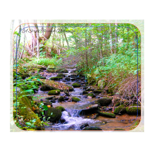 North Carolina Creek Mouse Pad