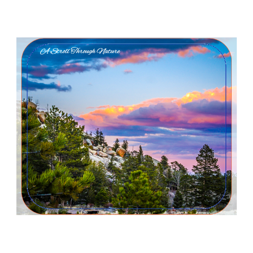 Wyoming Landscape Mouse Pad