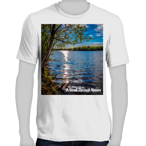 Alaskan Lake View Men's Very Important Tee - District