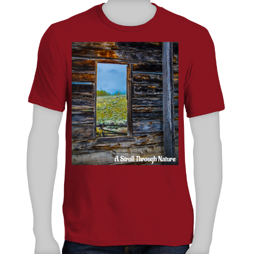 The Window to Nature Men's Very Important Tee - District