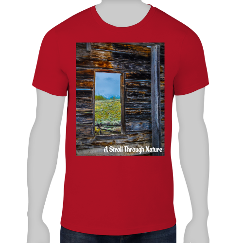 The Window to Nature Men's Lightweight Fashion Tee - Anvil