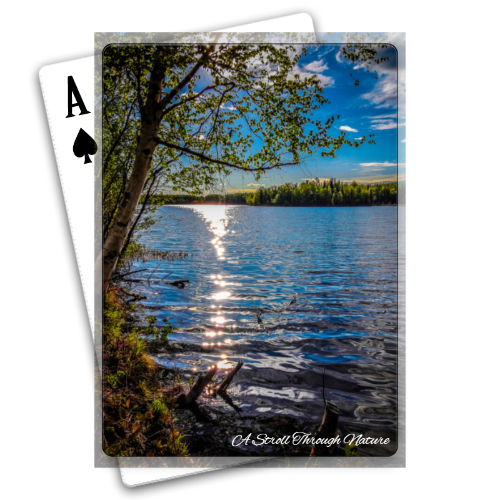 Alaskan Lake Playing Cards