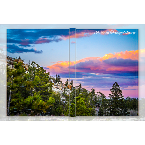 Wyoming Landscape Hardcover Journal Matte (75pg)