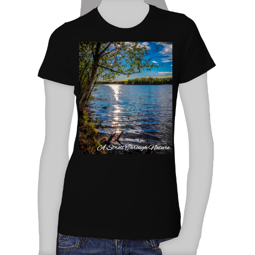 Alaskan Lake View Women's The Boyfriend Tee - Next Level